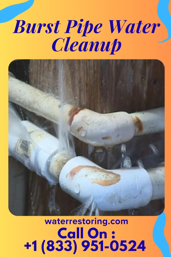 Burst Pipe Water Cleanup in Rabbit Hash, KY