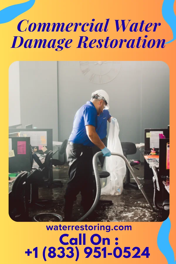 Commercial Water Damage Restoration in Rabbit Hash, KY