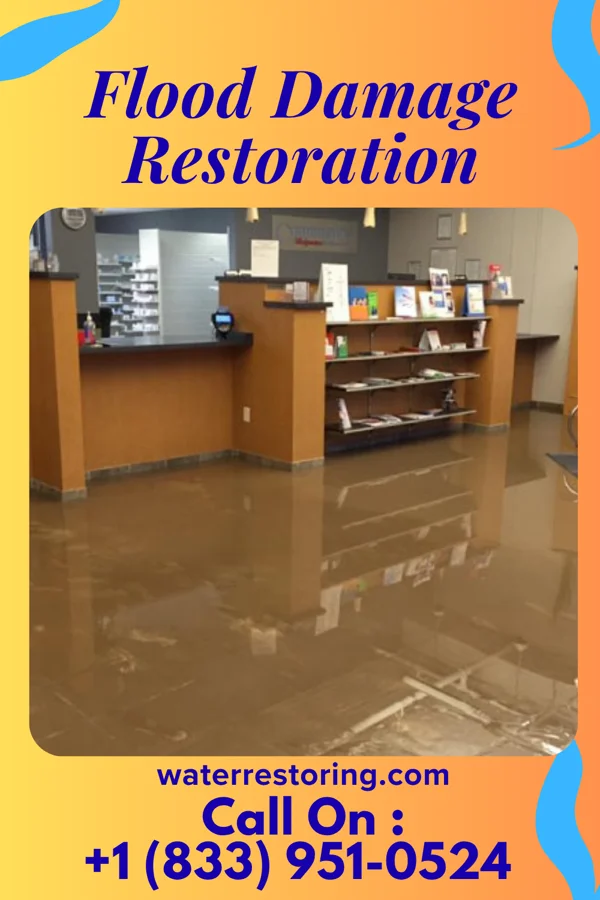 Flood Damage Restoration in Rabbit Hash, KY