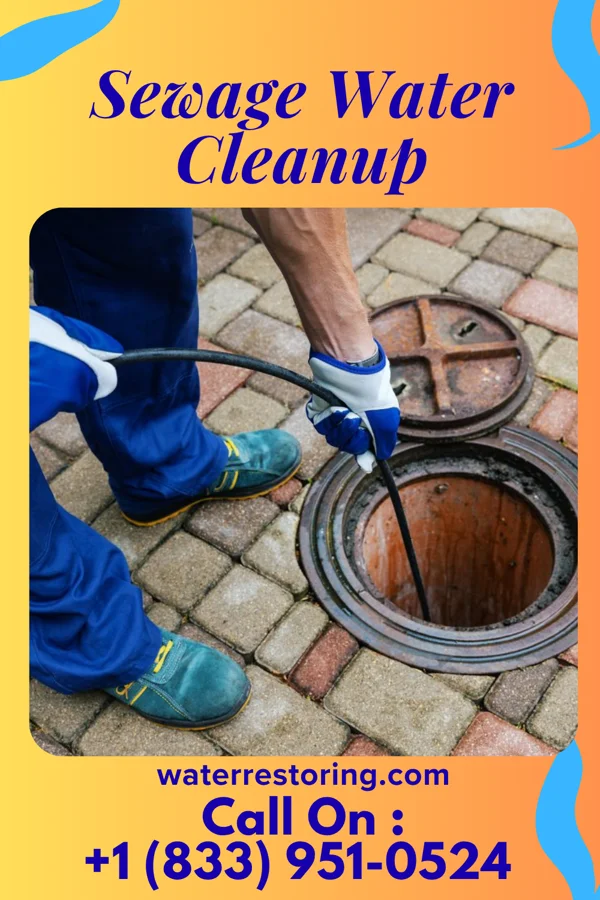 Sewage Water Cleanup in Rabbit Hash, KY